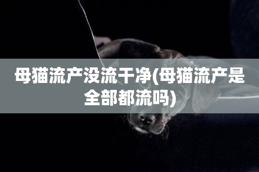 母貓流產沒流干凈(母貓流產是全部都流嗎)