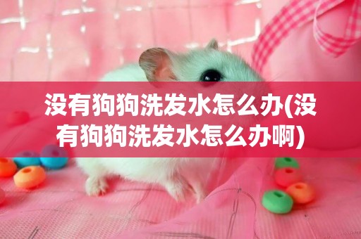 沒有狗狗洗發水怎么辦(沒有狗狗洗發水怎么辦啊)
