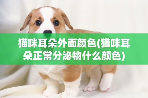 貓咪耳朵外面顏色(貓咪耳朵正常分泌物什么顏色)