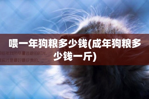 喂一年狗糧多少錢(成年狗糧多少錢一斤)