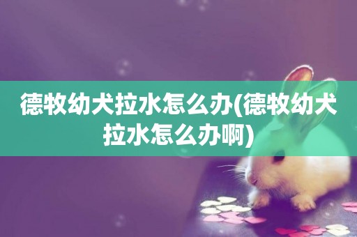 德牧幼犬拉水怎么辦(德牧幼犬拉水怎么辦啊)