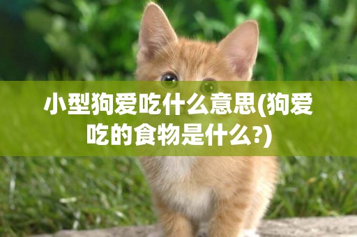 小型狗愛吃什么意思(狗愛吃的食物是什么?)