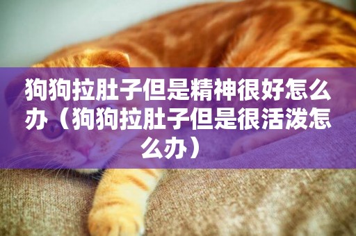 狗狗拉肚子但是精神很好怎么辦（狗狗拉肚子但是很活潑怎么辦） 