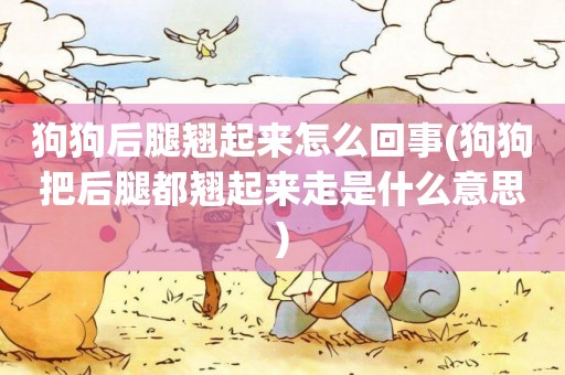 狗狗后腿翹起來怎么回事(狗狗把后腿都翹起來走是什么意思)