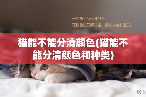 貓能不能分清顏色(貓能不能分清顏色和種類)