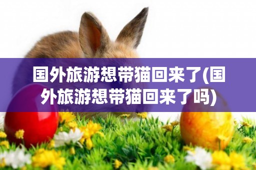 國外旅游想帶貓回來了(國外旅游想帶貓回來了嗎)