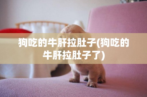 狗吃的牛肝拉肚子(狗吃的牛肝拉肚子了)