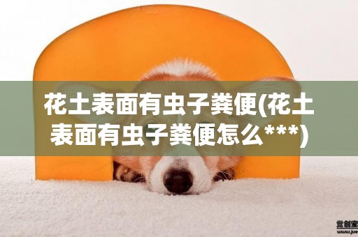 花土表面有蟲子糞便(花土表面有蟲子糞便怎么***)