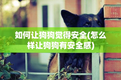 如何讓狗狗覺得安全(怎么樣讓狗狗有安全感)
