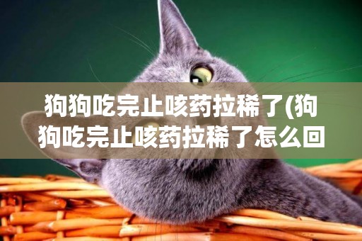 狗狗吃完止咳藥拉稀了(狗狗吃完止咳藥拉稀了怎么回事)