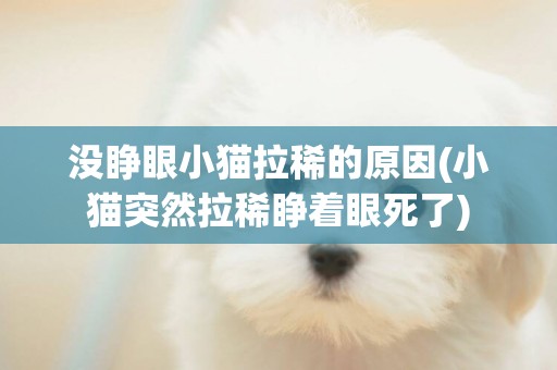 沒睜眼小貓拉稀的原因(小貓突然拉稀睜著眼死了)