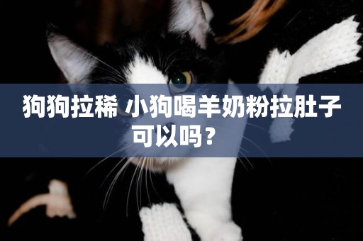 狗狗拉稀 小狗喝羊奶粉拉肚子可以嗎？ 