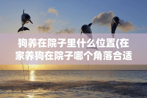 狗養在院子里什么位置(在家養狗在院子哪個角落合適)