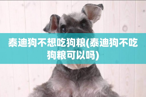 泰迪狗不想吃狗糧(泰迪狗不吃狗糧可以嗎)