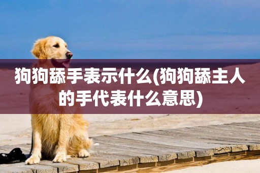狗狗舔手表示什么(狗狗舔主人的手代表什么意思)