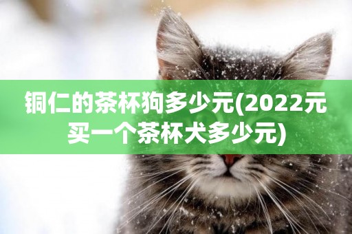 銅仁的茶杯狗多少元(2022元買一個茶杯犬多少元)