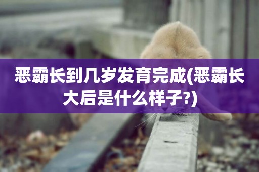 惡霸長到幾歲發育完成(惡霸長大后是什么樣子?)
