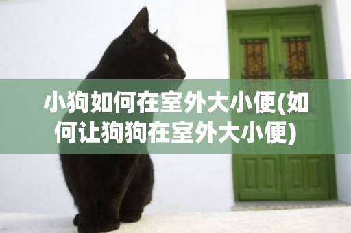 小狗如何在室外大小便(如何讓狗狗在室外大小便)