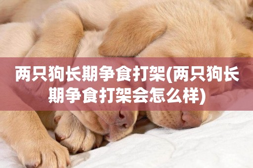兩只狗長期爭食打架(兩只狗長期爭食打架會怎么樣)