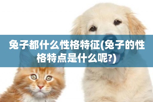 兔子都什么性格特征(兔子的性格特點是什么呢?)