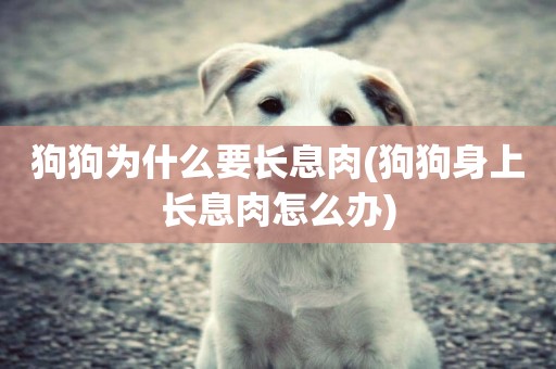 狗狗為什么要長息肉(狗狗身上長息肉怎么辦)