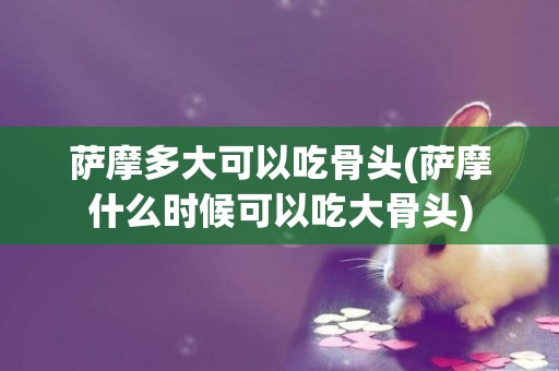 薩摩多大可以吃骨頭(薩摩什么時候可以吃大骨頭)