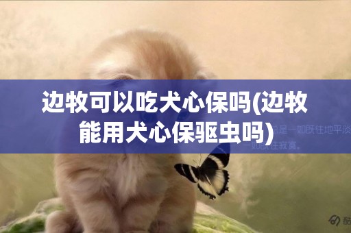 邊牧可以吃犬心保嗎(邊牧能用犬心保驅蟲嗎)