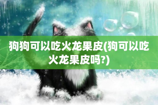狗狗可以吃火龍果皮(狗可以吃火龍果皮嗎?)
