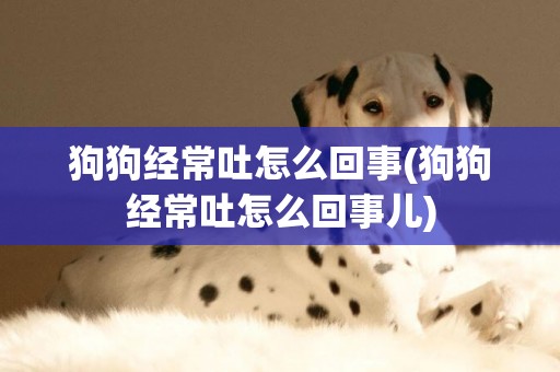 狗狗經常吐怎么回事(狗狗經常吐怎么回事兒)