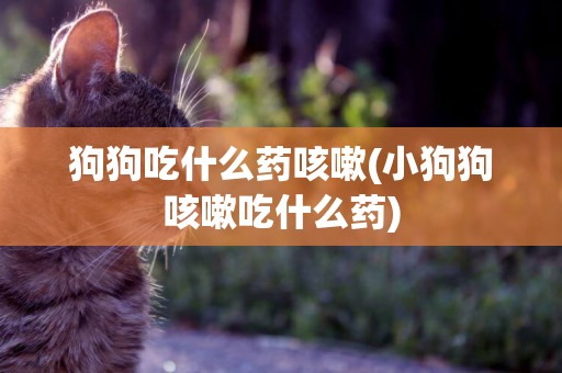 狗狗吃什么藥咳嗽(小狗狗咳嗽吃什么藥)