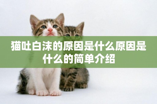 貓吐白沫的原因是什么原因是什么的簡單介紹
