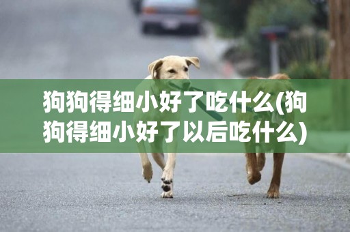 狗狗得細小好了吃什么(狗狗得細小好了以后吃什么)
