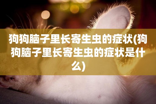 狗狗腦子里長寄生蟲的癥狀(狗狗腦子里長寄生蟲的癥狀是什么)