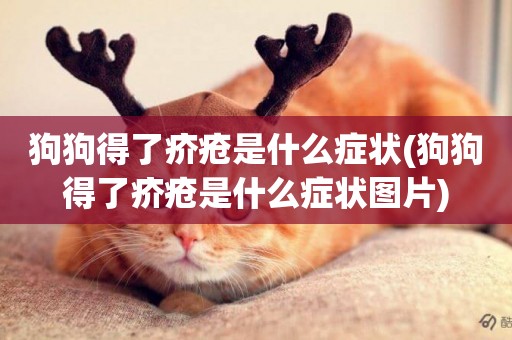 狗狗得了疥瘡是什么癥狀(狗狗得了疥瘡是什么癥狀圖片)