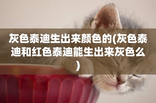 灰色泰迪生出來顏色的(灰色泰迪和紅色泰迪能生出來灰色么)