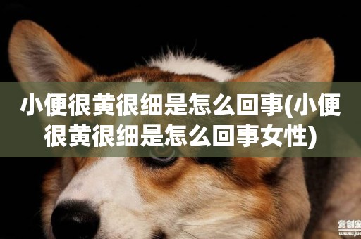 小便很黃很細是怎么回事(小便很黃很細是怎么回事女性)