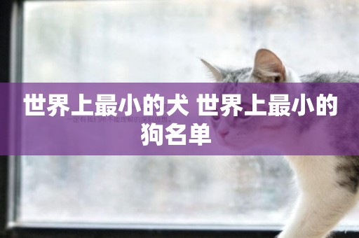 世界上最小的犬 世界上最小的狗名單 