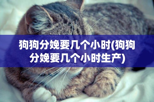 狗狗分娩要幾個小時(狗狗分娩要幾個小時生產)
