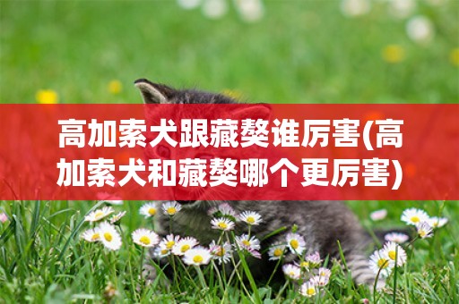 高加索犬跟藏獒誰厲害(高加索犬和藏獒哪個更厲害)