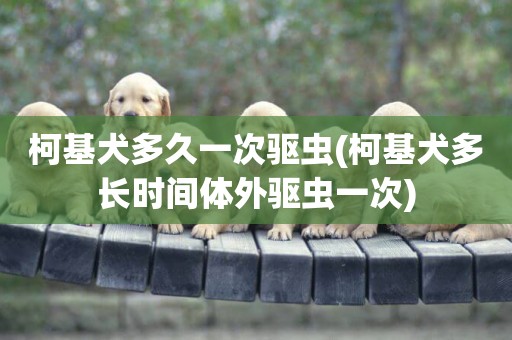 柯基犬多久一次驅蟲(柯基犬多長時間體外驅蟲一次)