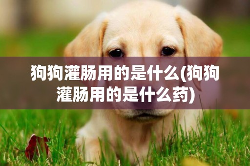 狗狗灌腸用的是什么(狗狗灌腸用的是什么藥)