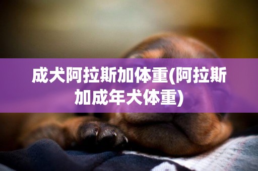成犬阿拉斯加體重(阿拉斯加成年犬體重)