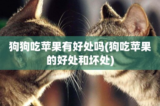 狗狗吃蘋果有好處嗎(狗吃蘋果的好處和壞處)
