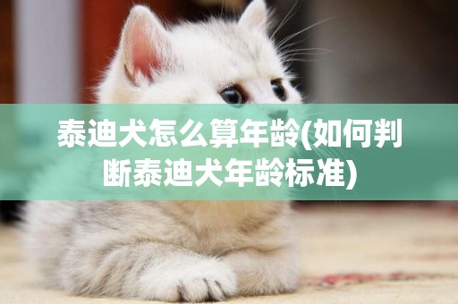 泰迪犬怎么算年齡(如何判斷泰迪犬年齡標準)
