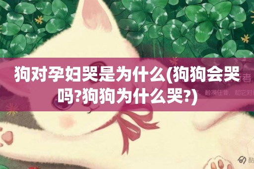 狗對孕婦哭是為什么(狗狗會哭嗎?狗狗為什么哭?)