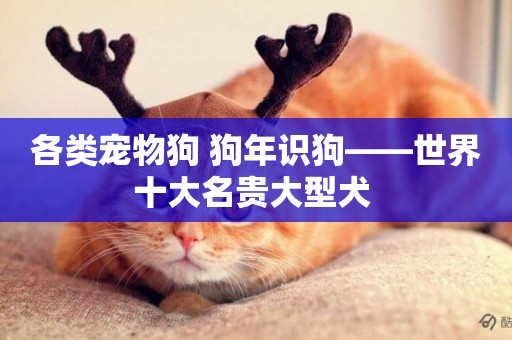 各類寵物狗 狗年識狗——世界十大名貴大型犬 