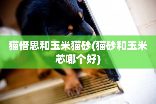 貓倍思和玉米貓砂(貓砂和玉米芯哪個好)