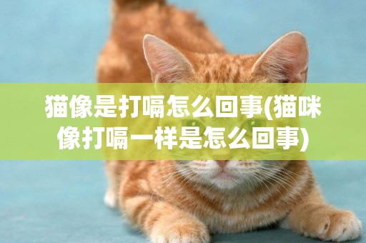貓像是打嗝怎么回事(貓咪像打嗝一樣是怎么回事)