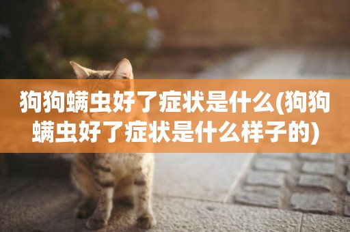 狗狗螨蟲好了癥狀是什么(狗狗螨蟲好了癥狀是什么樣子的)