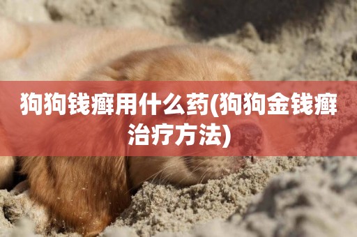 狗狗錢癬用什么藥(狗狗金錢癬治療方法)